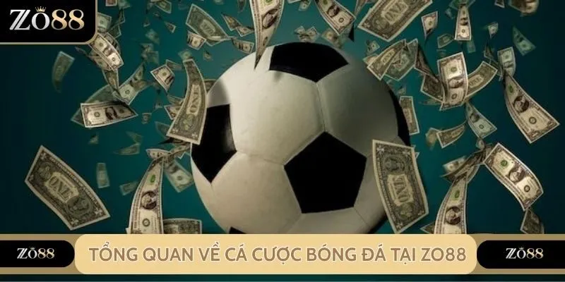 Tổng quan về cá cược bóng đá Zo88